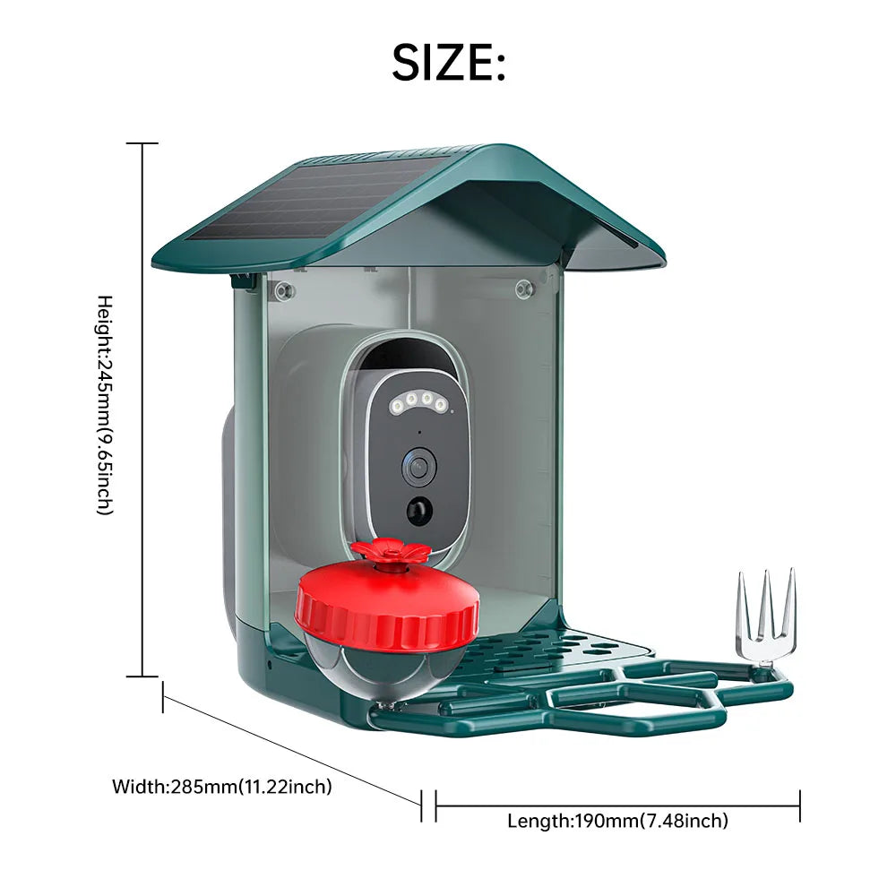 Jooan 4K Solar Bird Feeder Camera with 2.4G WiFi, Night Vision & AI Bird Species ID – Outdoor Waterproof HD Bird Cam