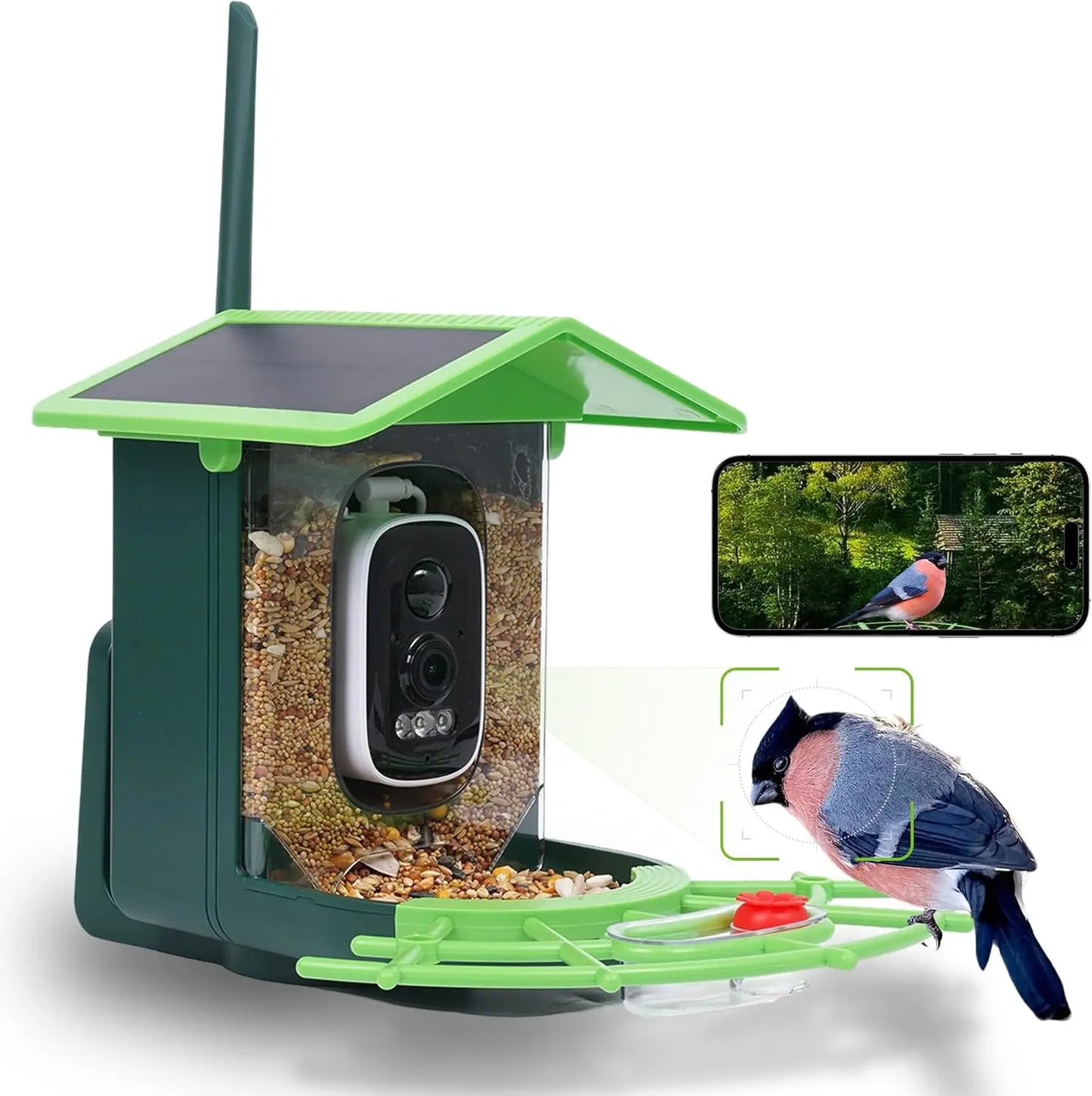 Smart Bird Feeder Camera – 4MP 2.5K WiFi with AI Bird Recognition, Solar Panel, Night Vision & App Control