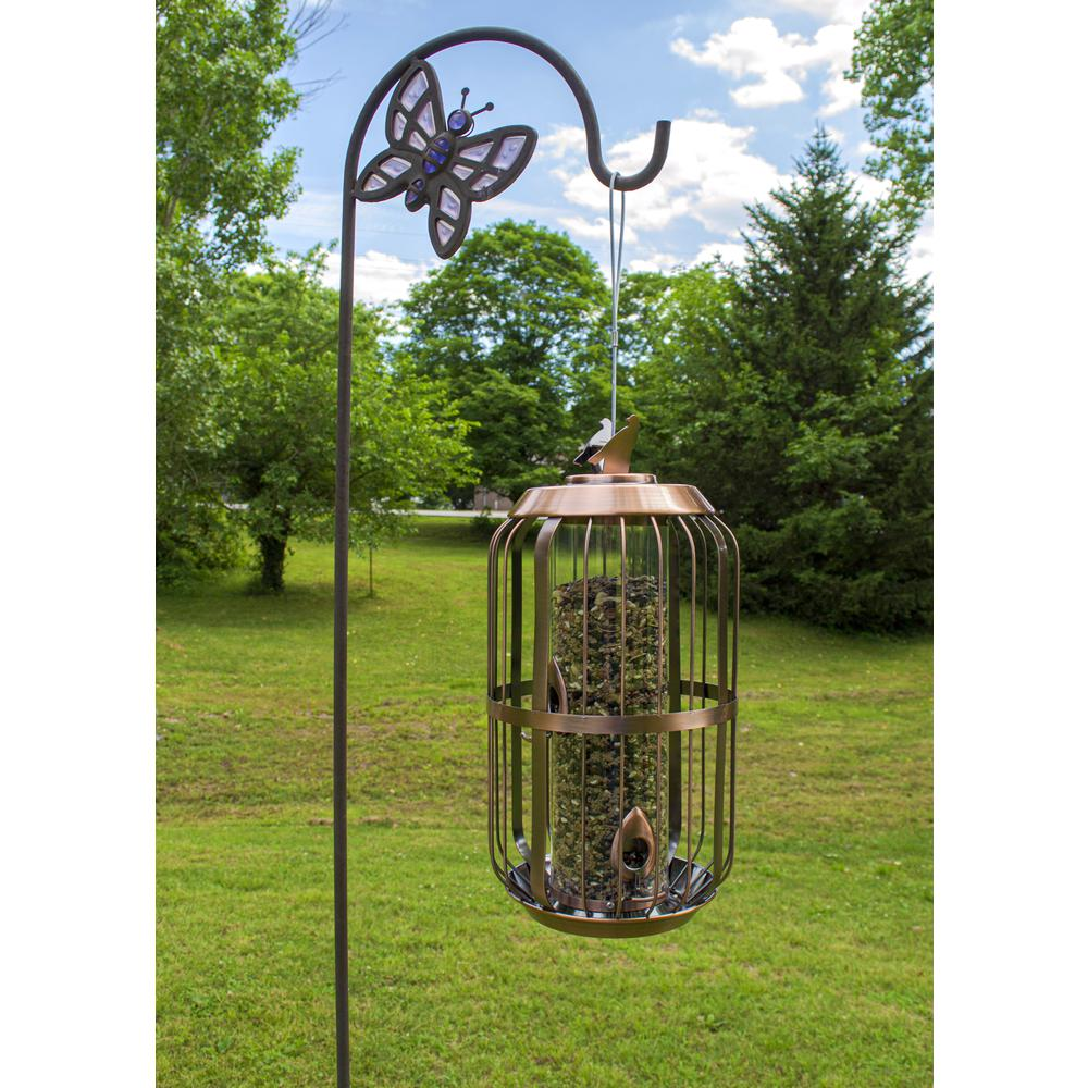 For the Birds