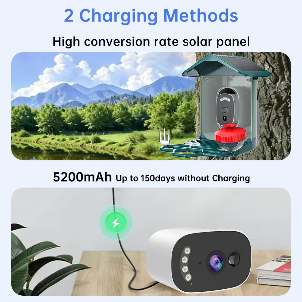 Jooan 4K Solar Bird Feeder Camera with 2.4G WiFi, Night Vision & AI Bird Species ID – Outdoor Waterproof HD Bird Cam