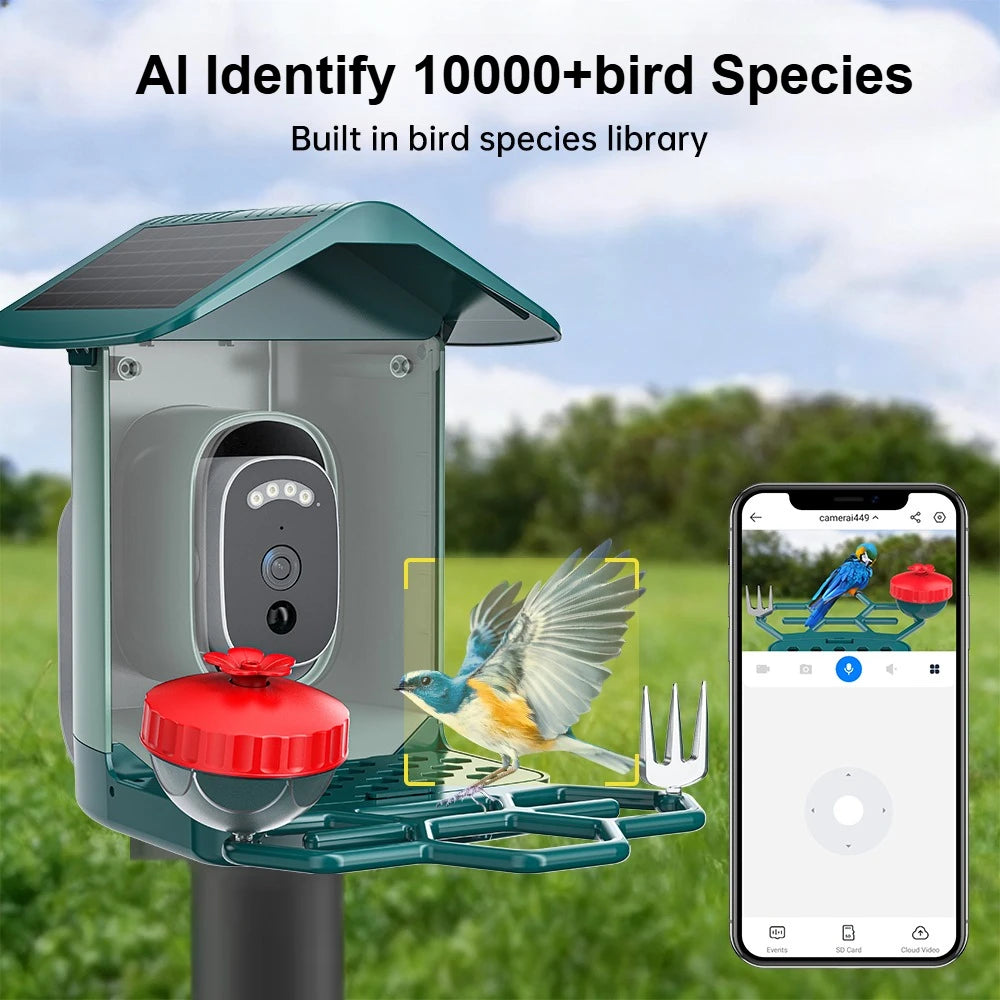 Jooan 4K Solar Bird Feeder Camera with 2.4G WiFi, Night Vision & AI Bird Species ID – Outdoor Waterproof HD Bird Cam