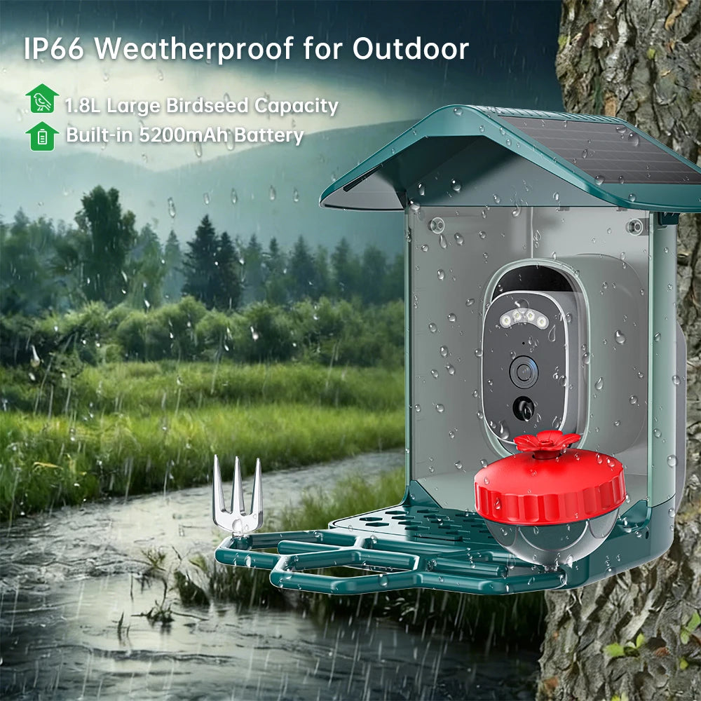 Jooan 4K Solar Bird Feeder Camera with 2.4G WiFi, Night Vision & AI Bird Species ID – Outdoor Waterproof HD Bird Cam