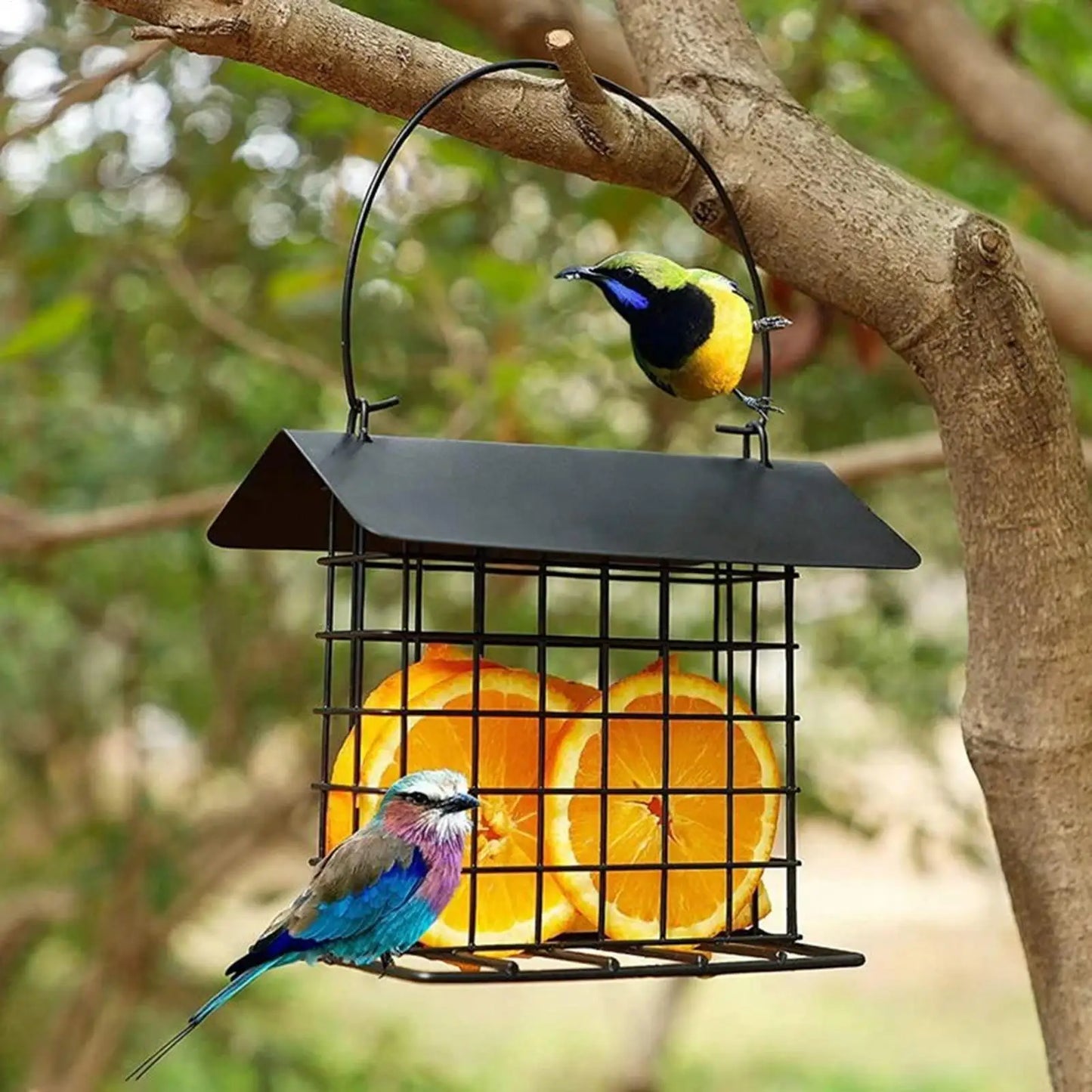 Suet Bird Feeder Feeding Station with Weatherproof Roof Suet Holder for Wild Hummingbirds Woodpeckers Parrot All Breeds