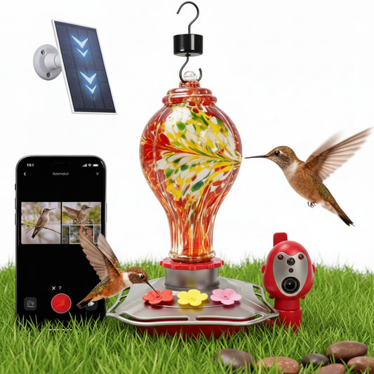 Smart Hummingbird Feeder with 2K Camera – Solar Powered, AI Bird ID & Instant Notifications