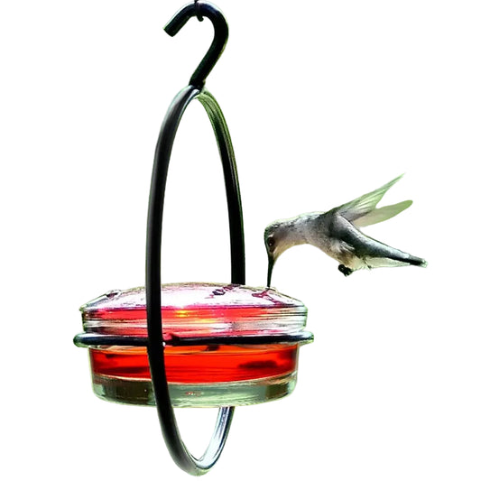Metal Hummingbird Water Feeder – Simple Hanging Stainless Steel Nectar Feeder for Yard & Garden
