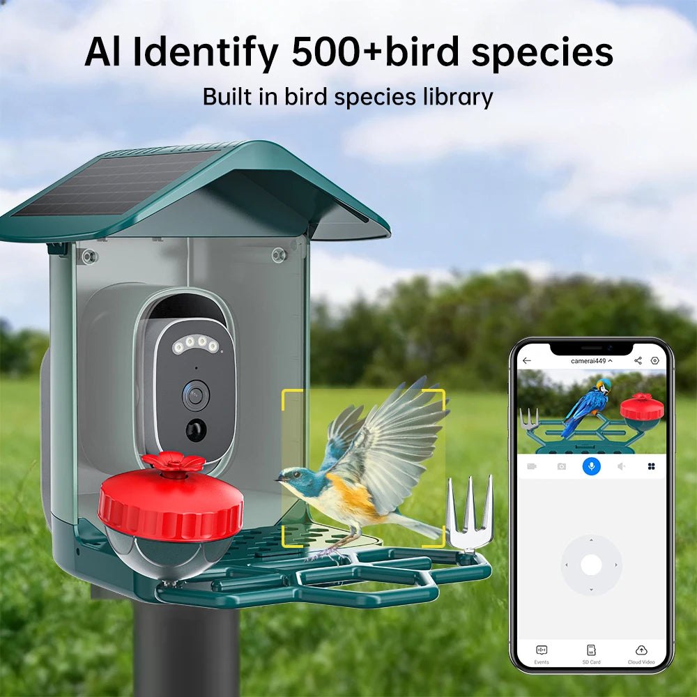 Jooan 4K Solar Bird Feeder Camera with 2.4G WiFi, Night Vision & AI Bird Species ID – Outdoor Waterproof HD Bird Cam