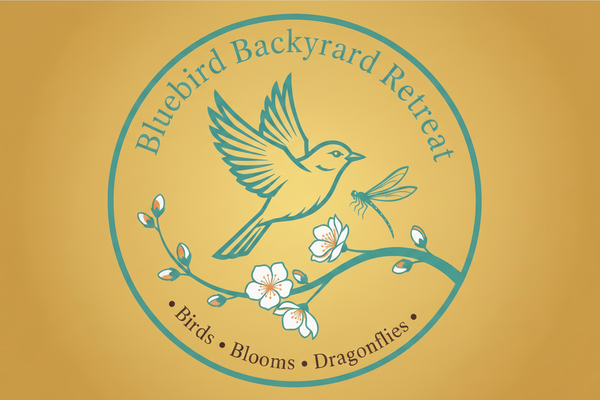 Bluebird Backyard Retreat - All Turquoise Branch